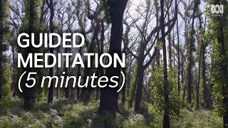 Guided Meditation For Resilience 5 Minutes  Natural Mindful [upl. by Alegnaoj448]