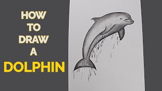 how to draw a dolphin jumping out of the water for beginners [upl. by Nnilsia857]