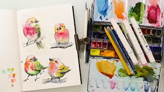 Süße Vögel im Skizzenbuch mit Aquarell Markern Action Aquamarker und Buntstiften [upl. by Hairej11]