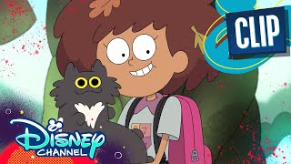 New Pet🐱 Amphibia  Disney Channel [upl. by Olin]