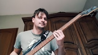 The Warning  EVOLVE  Bass Cover [upl. by Elaine928]