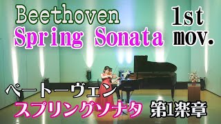 【春】ベートーヴェン ヴァイオリンソナタ第1楽章【Beethoven】Spring Sonata 1st mov [upl. by Nive]