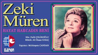 Zeki Müren  Hayat Harcadın Beni 45lik Plak Kayıtları [upl. by Vaughan]