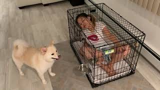 WIFE LOCKED IN DOG CRATE [upl. by Hoffman]