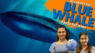 Blue Whale Facts  Facts For Kids [upl. by Anivlis970]