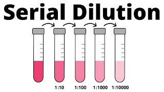 Preparing a soluble salt  14–16 Practicals [upl. by Nester]