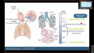 ENARM 2021 Neumología REVISIÓN DE TEMAS [upl. by Marci]