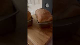 Fresh baked bread is life 🍞 homestead breadrecipe breadbaking fromscratch shorts [upl. by Akimal]