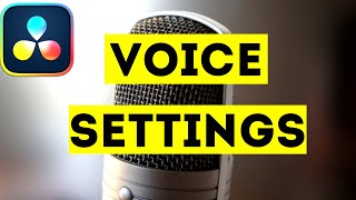 Best Microphone And VoiceOver Settings  How To Record Audio In Davinci Resolve 19 [upl. by Mcquade647]