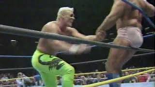 WCW Ric Flair vs Sting 1991 [upl. by Frangos731]