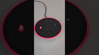 Software update  Amazon Echo Dot 2nd Gen [upl. by Asquith204]