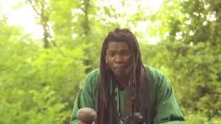 Linos Wengara Magaya  Chaminuka ndiMambo  Zimbaremabwe  Zimbabwean Mbira Music 2014 [upl. by Stucker578]