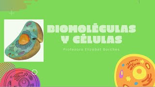 Las biomoléculas que forman las células [upl. by Akyeluz]