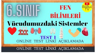 6 Sınıf Fen Bilimleri Vücudumuzdaki Sistemler Test  örnek sorular ve test çöz [upl. by Ahsietal]