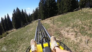 Sankališče Zlodejevo  Onride  Rogla  Wiegand  Alpine Coaster [upl. by Alejo]