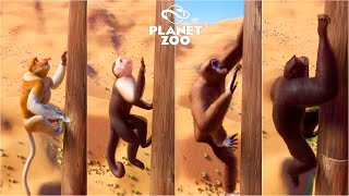 Proboscis Monkey Capuchin Monkey Lar Gibbon Siamang  Planet Zoo Animals Climbing Race [upl. by Toblat]