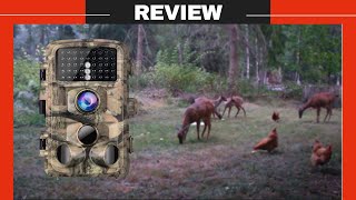 Campark T45A Trail Camera Review  Campark Trail Camera Setup Manual  20MP 4K Hunting Game Camera [upl. by Ericka]