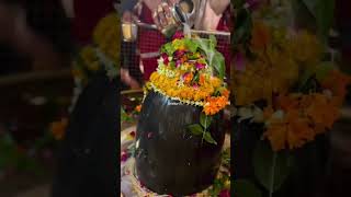 shiv  Shorts  mahashivratri  mahadev  trending  viral [upl. by Akimrehs]