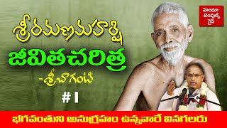 శ్రీ రమణమహర్షి జీవితచరిత్ర Life of Arunachala Sri RamanaMaharshi by Sri Chaganti Hindu Temples Guide [upl. by Tews770]