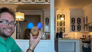 Disneys Grand Floridian Resort 1 Bedroom Villa Tour with a Lake View [upl. by Brandwein]