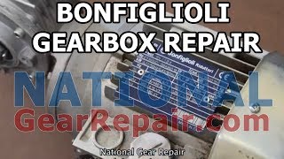 BonFiglioli Gearbox Repair [upl. by Eniarol227]