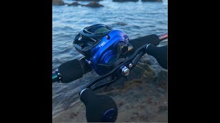 Daiwa Coastal TWS Reel Review [upl. by Akisej950]