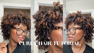 CURLY HAIR ROUTINE  Defined Curls  2024 [upl. by Caesar]