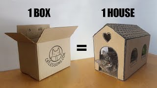 Transform a Simple Box into a Cat House [upl. by Asecnarf]