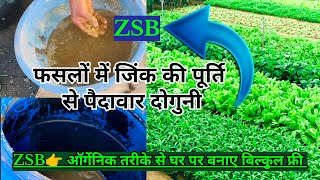 फसलों में जिंक के फायदे।। Zinc solubilizing biofertilizer zsb organicfarming agriculture kheti [upl. by Introc]