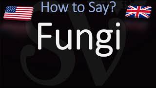 How to Pronounce Fungi [upl. by Norre984]