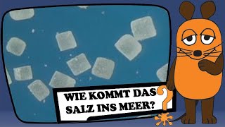 Wie kommt das Salz ins Meer [upl. by Yevette24]