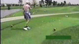 Golfer Hits Bird Accidentally [upl. by Sproul]