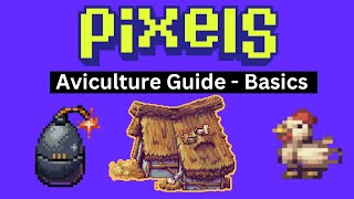 Aviculture Basics and Chicken Management  Pixels Online  5 Chicken GIVEAWAY [upl. by Kirstin]