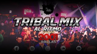 Tribal Mix Al Ritmo de Escapade 2001 Mix 2023  Dj Echo [upl. by Alcock342]