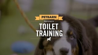 How to toilet train your puppy in no time [upl. by Early]