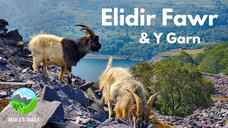 Elidir Fawr amp Y Garn  Wales  Hiking  4K [upl. by Skantze145]