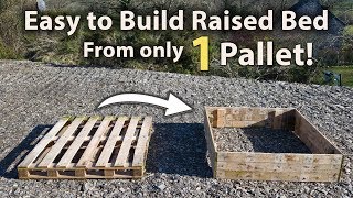 How to Build a Raised Bed from 1 Pallet FREE and Easy [upl. by Genesia95]