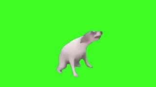 Dog Dance Meme [upl. by Allit]