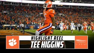 Clemson WR Tee Higgins Highlight Reel  2019 Season  Stadium [upl. by Lynett]