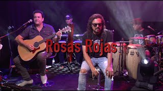 Rosas Rojas  Unplugged  Industria Del Amor [upl. by Pattani]