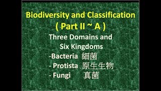 Lo Sir Teaching DSE Bio Channel  Biodiversity and Classification Part II A  三域六界 A [upl. by Abbott]