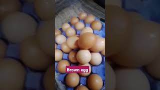 brown eggfood asmr [upl. by Killion]