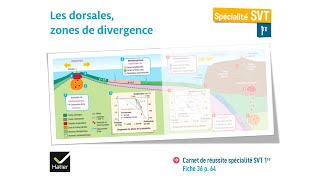 eSVT La dorsale et la production de magma basaltique [upl. by Amitaf148]