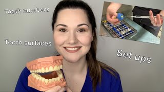 Dental assisting 101 The basics [upl. by Naujd703]