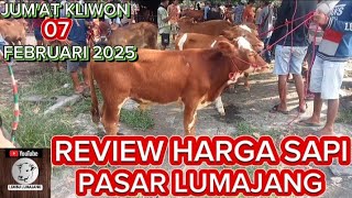 REVIEW HARGA SAPI PEDET JANTAN JUMAT 07 FEBRUARI 2025 [upl. by Nuhsar]