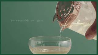 Seedlip Spice Martini Cocktail Recipe [upl. by Fisoi]