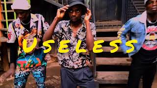 Useless  Ruger ft Speardancerz Official Dance Video [upl. by Aleacem213]