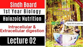 intracellular and extracellular digestion  class 11 Biology sindh board new book [upl. by Unhsiv446]