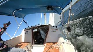 Catalina 22 Sailing Lake Martin [upl. by Merrow]