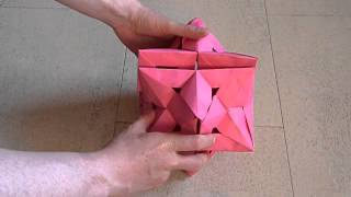 Flexible Stellated Rhombic Dodecahedron [upl. by Clabo876]